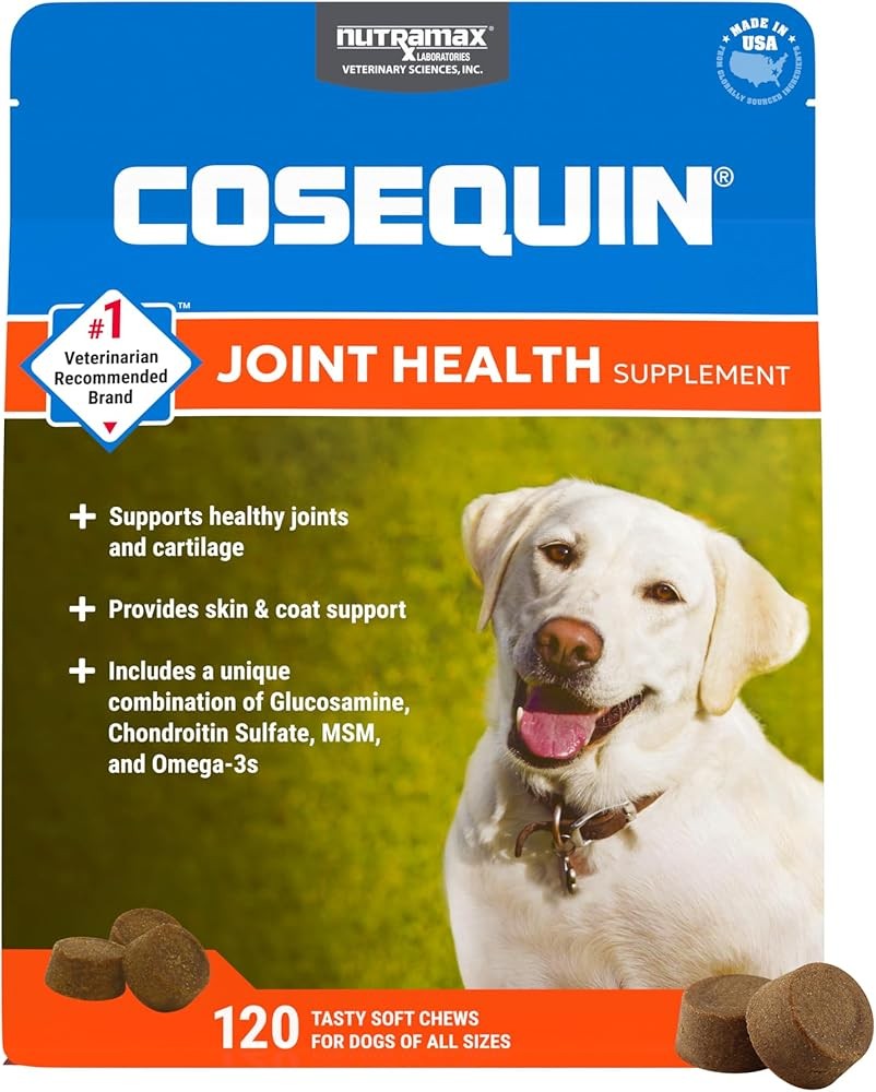Nutramax Cosequin for Dogs Joint Health Supplement Soft Chews with Omega-3s