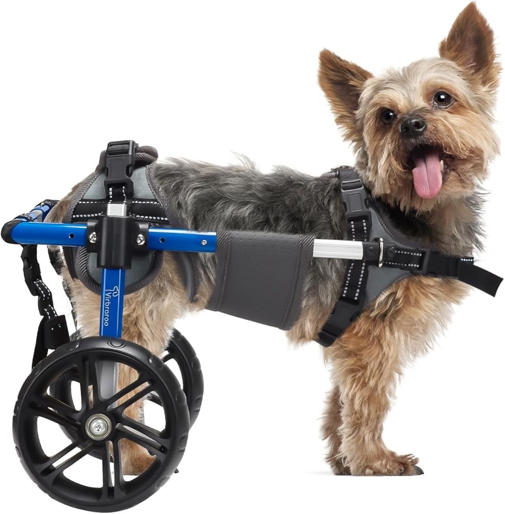 Dog Wheelchair for Small Dogs