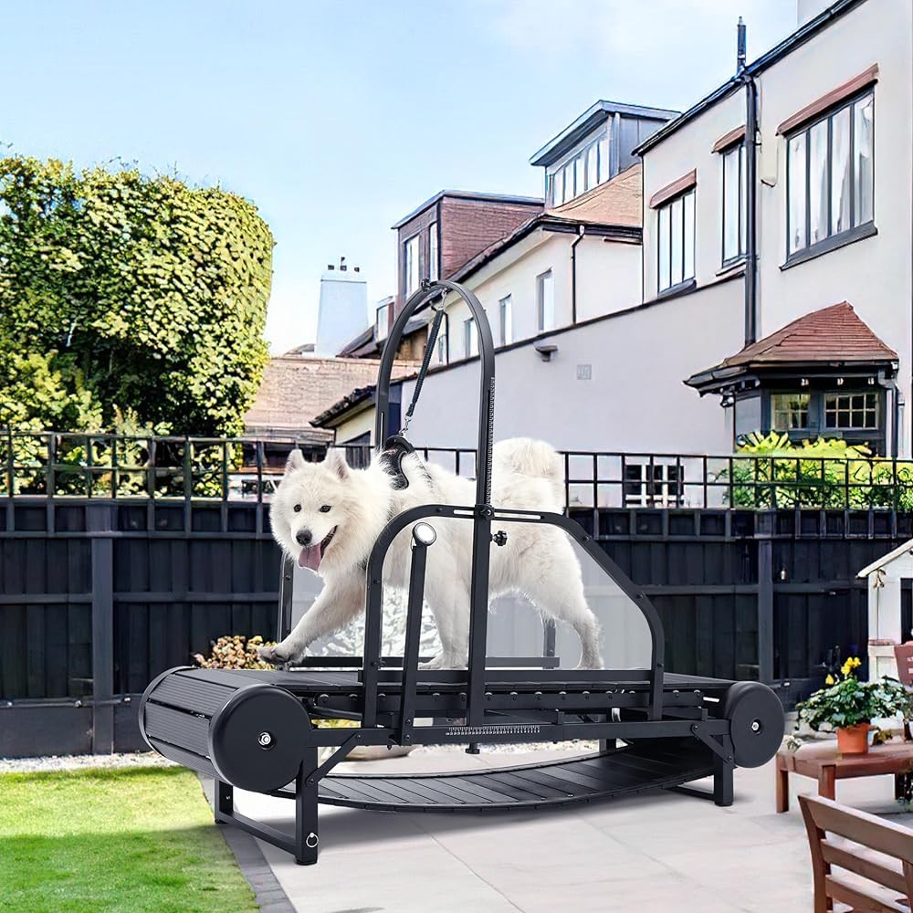 Dog Treadmill Slatmill Large/Medium