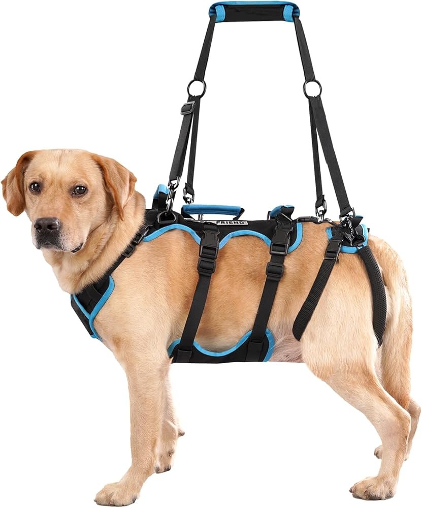 2-in-1 Dog Lift Harness
