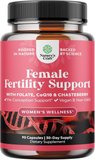 Fertility Supplements for Women
