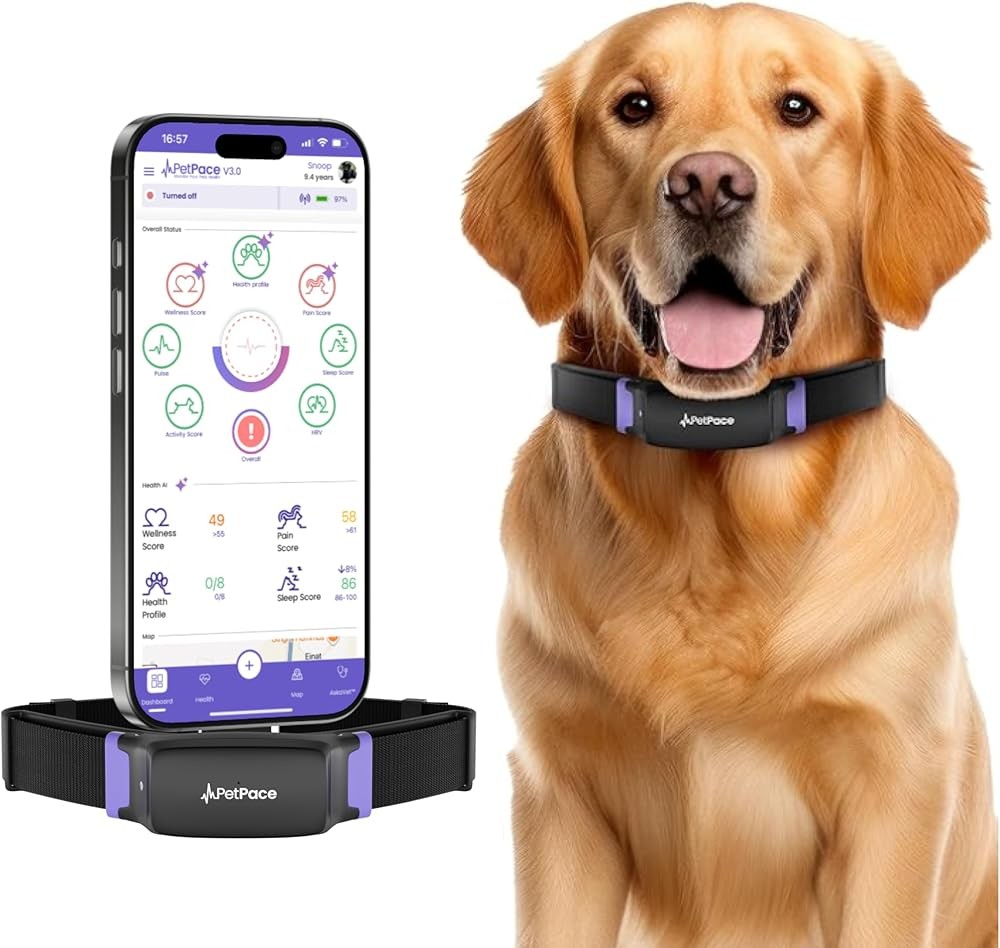 PetPace Dog Health Monitor V3.0