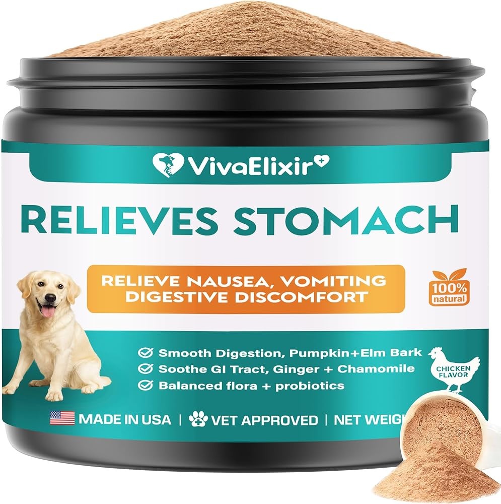 Probiotic for Dogs Digestive Health