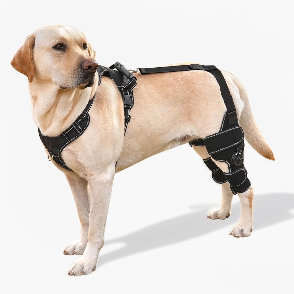 Dog Knee Brace with Adjustable Support
